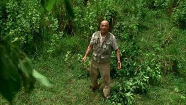 John Locke (Terry O'Quinn) stands in a jungle, looking up in wonder at the Adversary.