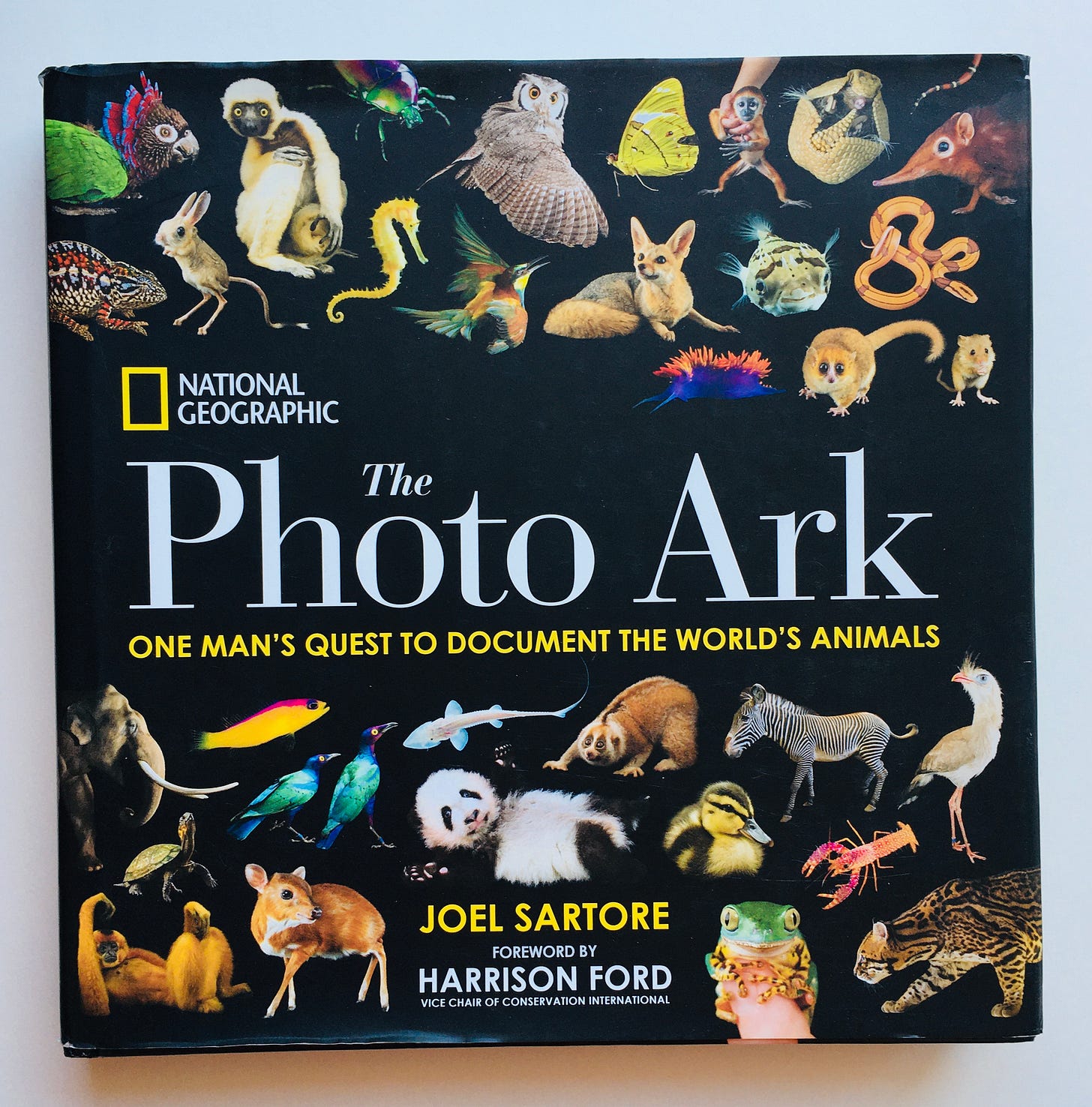 photo ark book