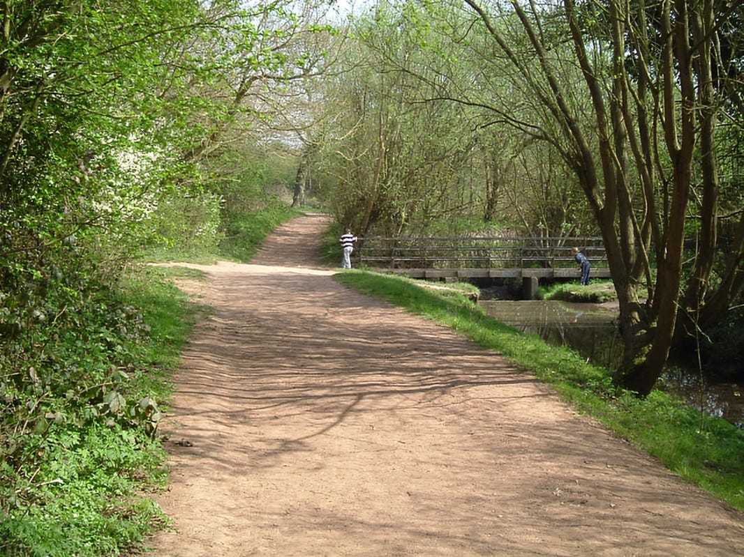 Woodgate Valley Park, a path through a wooded area