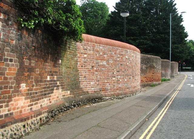 A serpentine wall by Evelyn Simak