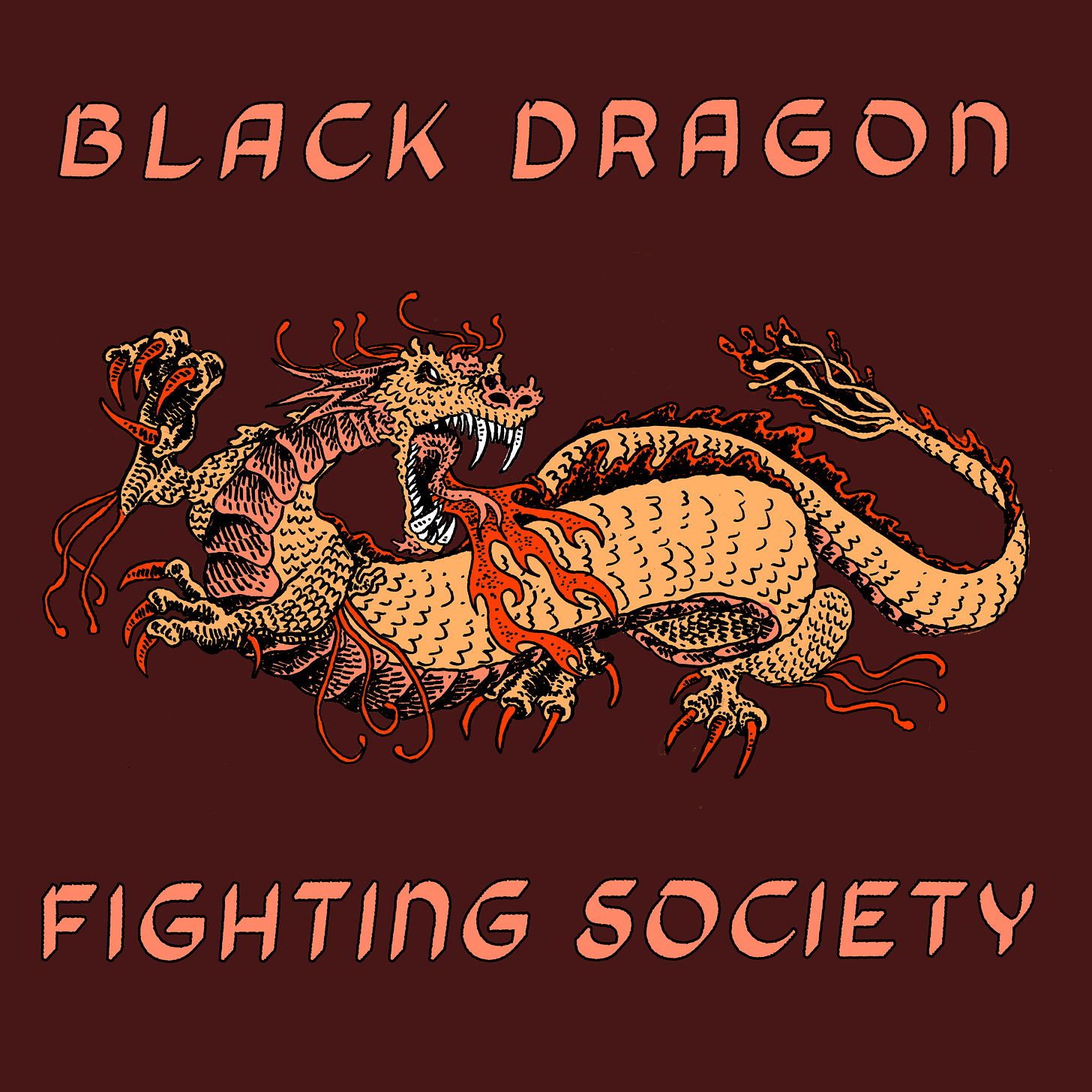 Black Dragon Fighting Society