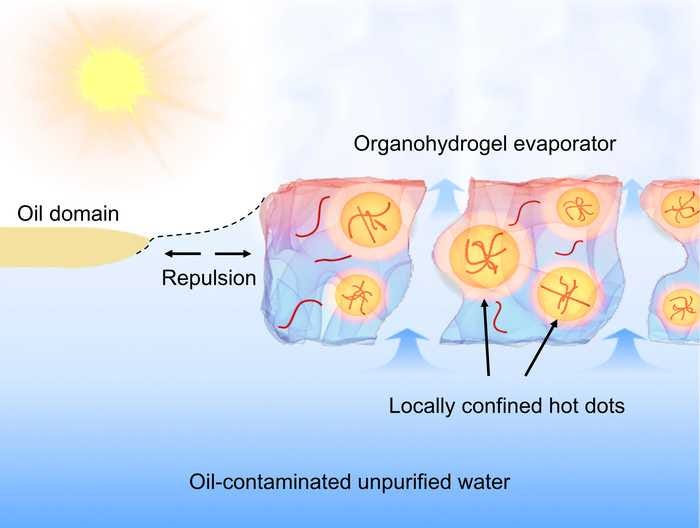 New platform uses sunlight to efficiently purify oil-contaminated water