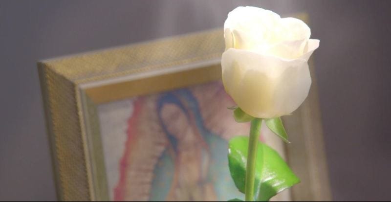 La Rosa de Guadalupe' es el programa televisivo más visto en México: le  siguen dos telenovelas, también de Televisa