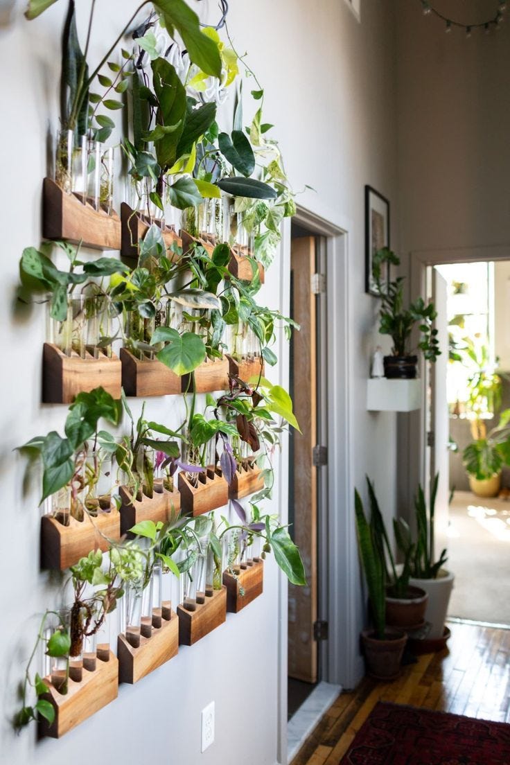 The Plant Doctor's Baltimore Home and Studio Are Absolutely Filled With  Gorgeous Green Plants | Easy house plants, House plants decor, Hanging plant  wall
