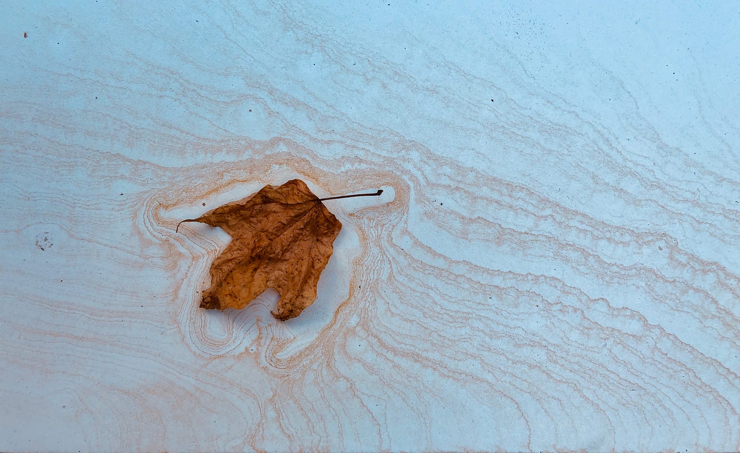 photo of a fallen leaf on a white table surrounded by the stains of its own color bleeding out after the rain