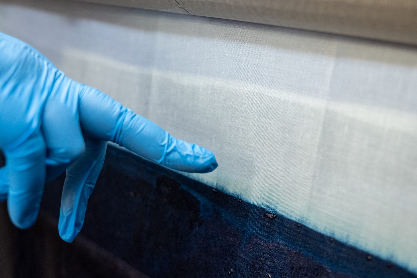 A blue gloved hand points to the edge of fresh indigo dye on a white cloth