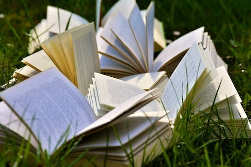 Free Open Books on Grass Field Stock Photo