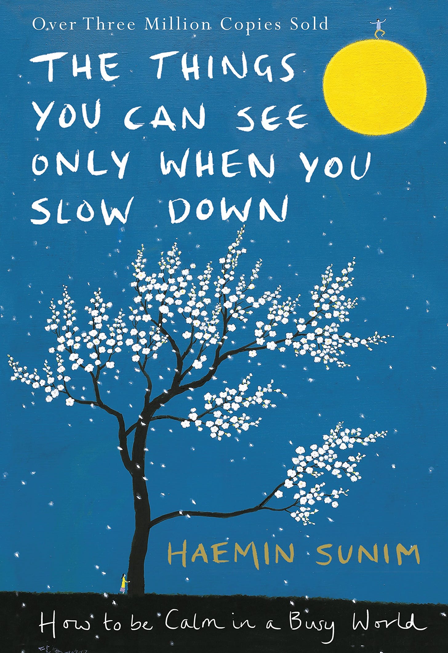 Buy The Things You Can See Only When You Slow Down: How to be Calm in a  Busy World Book Online at Amazon | The Things You Can See Only When You