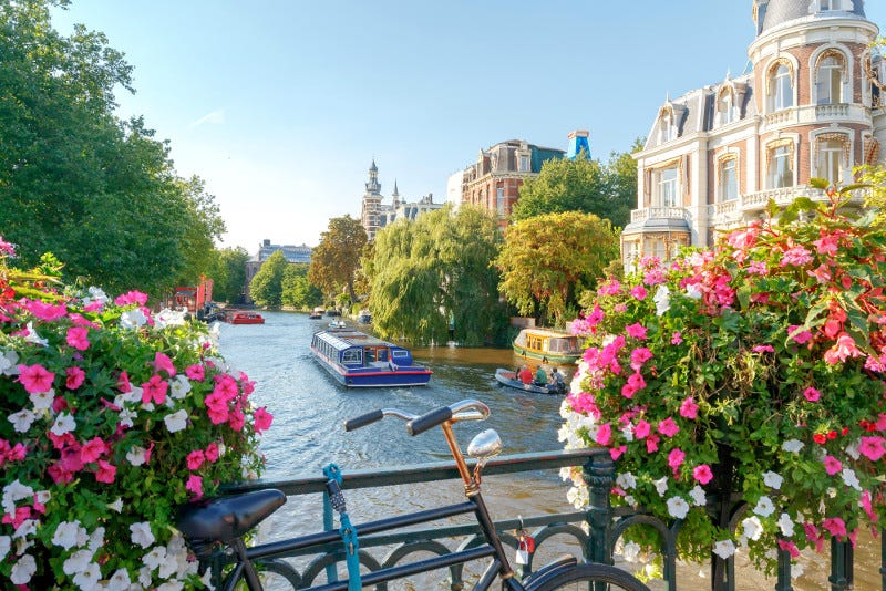 15 Best Amsterdam Canal Cruises - TourScanner
