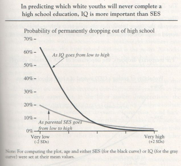 the-bell-curve-1994-herrnstein-and-murray-graph-p-149