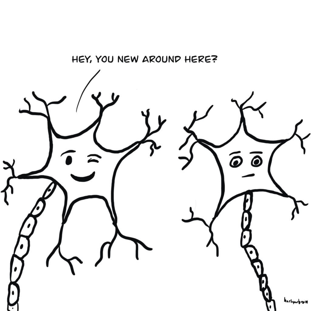 Drawing of two neurons