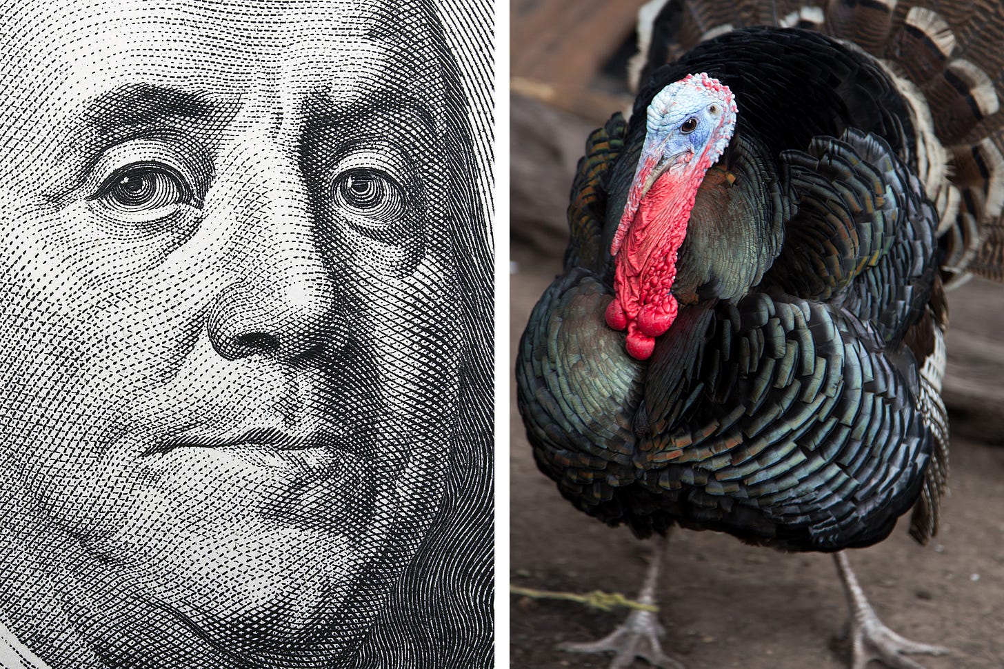 Ben Franklin turkey myth: He didn't champion turkeys as nation's symbol. He  used turkeys in electricity experiments. - The Washington Post