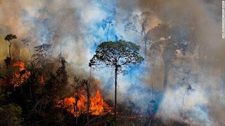 Amazon rainforest fires threaten Brazilian and global well-being