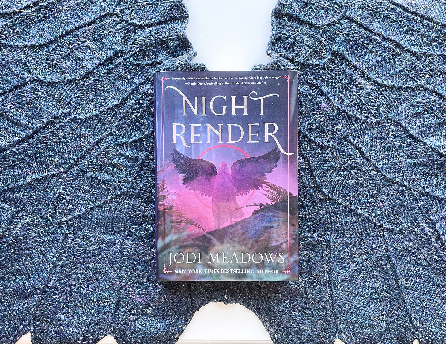 A hardcover of NIGHTRENDER on outstretched knit wings.