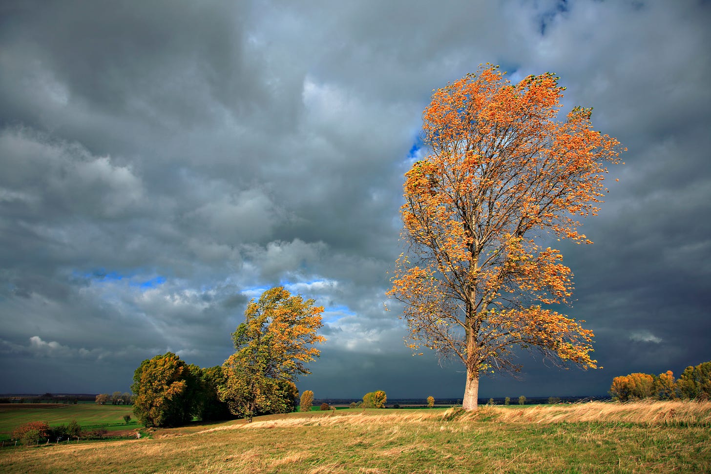 Autumn Storm