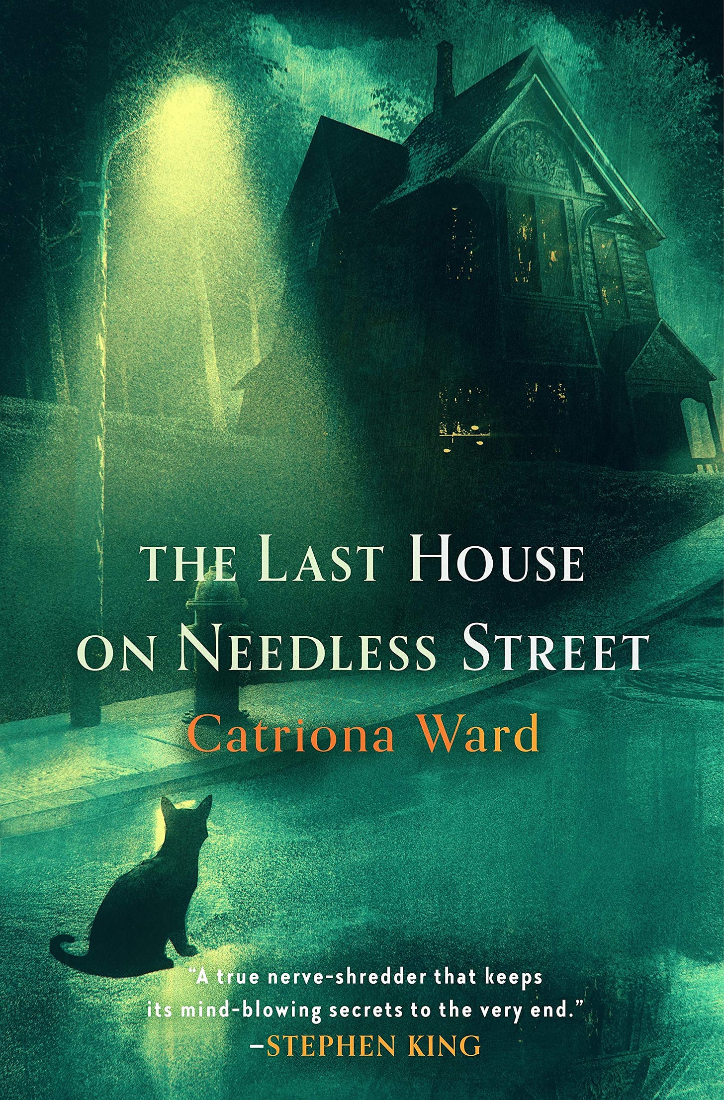 Amazon.com: The Last House on Needless Street: 9781250812629: Ward,  Catriona: Books