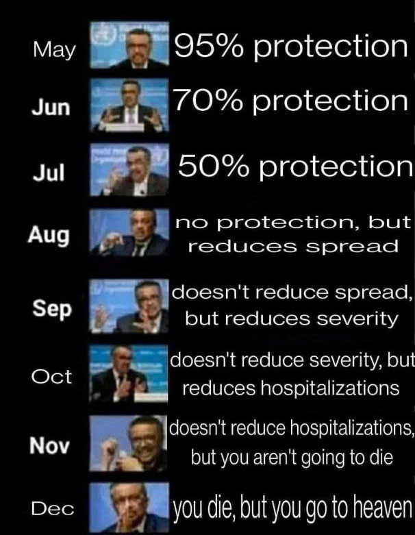 WHO Tedros Waning Efficacy Calendar Monthly Progression Meme