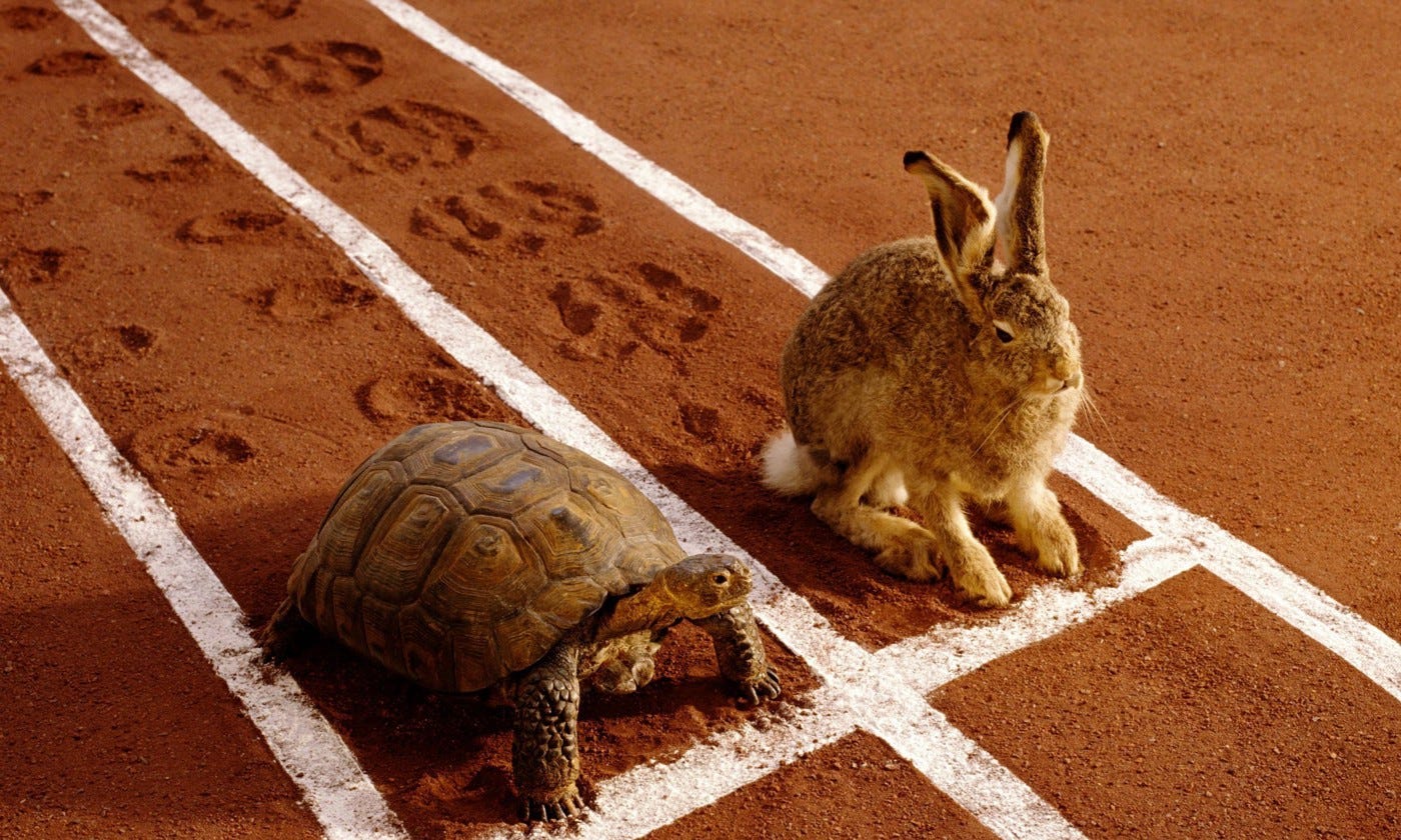 Are You the Tortoise or the Hare? | by Gary Ryan Blair | Mind Munchies |  Medium
