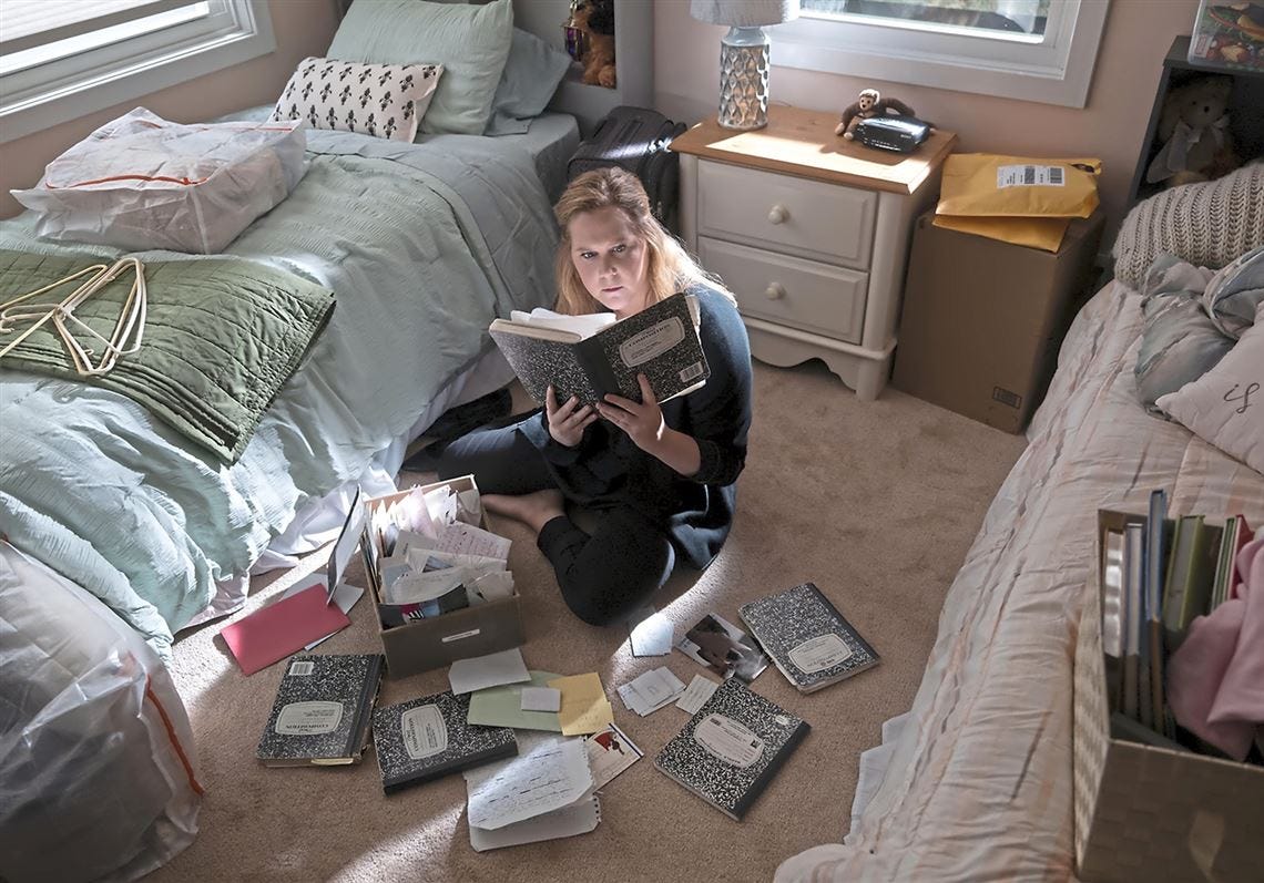 Review: Amy Schumer found happiness, and the moving 'Life & Beth' is the  result | Pittsburgh Post-Gazette