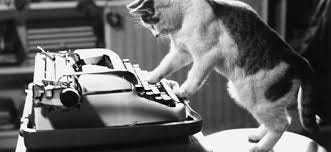 How to write a cat | Overland literary journal