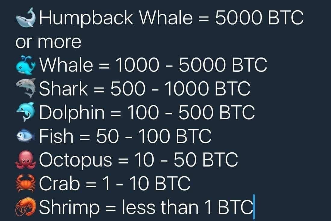A pretty picture showing bitcoin whales and their rating - Crypto World -  CryptoTalk.Org