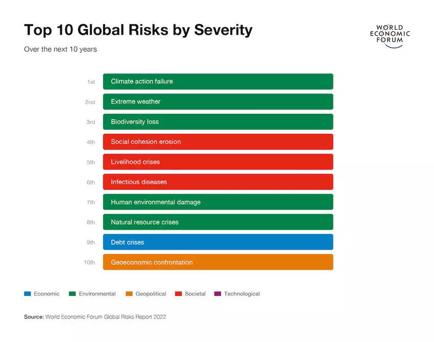 a chart showing the top 10 global risks by severity