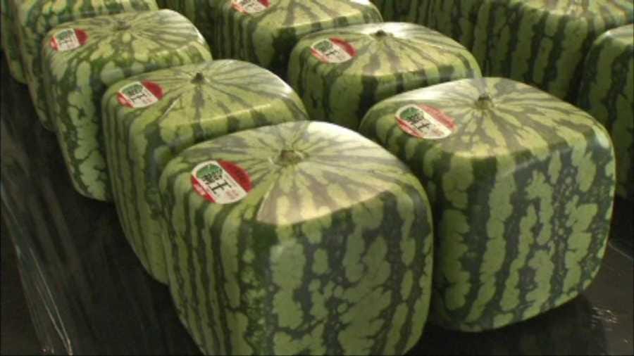 Japan now selling 'cubed' watermelons, see how much they sell for ...