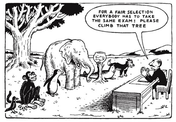 Fairness - High-Quality Assessment