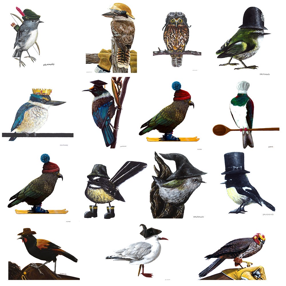 A lot of birds in hats (they're really pretty)