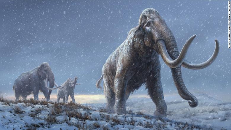 oldest-dna-mammoth-one-million-years-old-