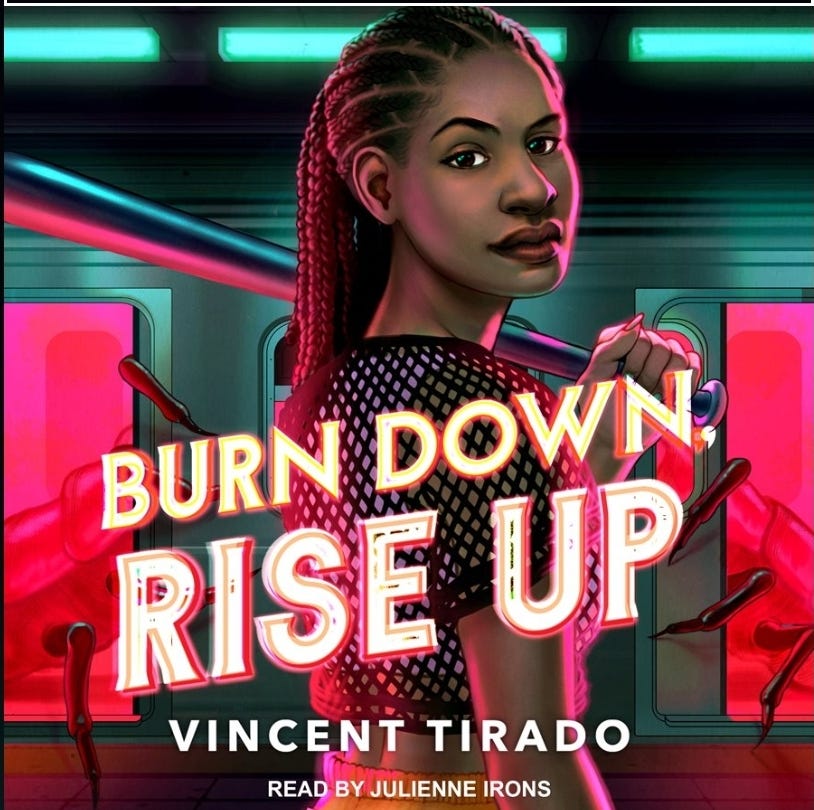 Burn Down, Rise Up book cover