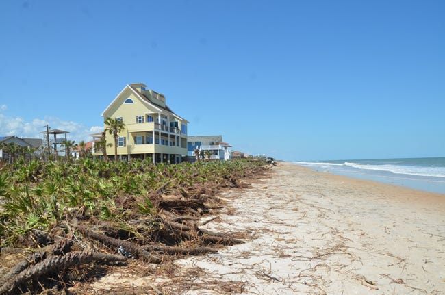 Flagler County's beaches have been severely eroded by storms, their dune systems erased in some places, as in the area of Marineland Acres, above. (c FlaglerLive)