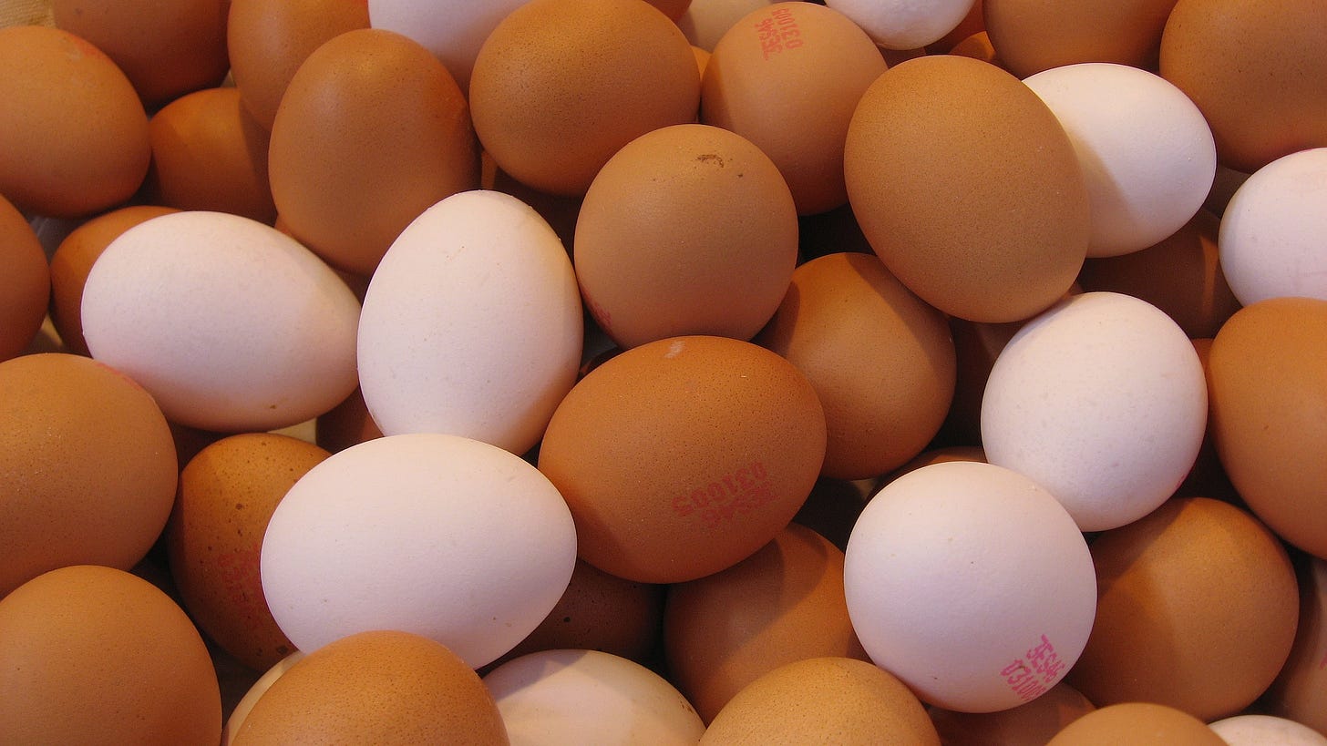File:Egg texture 169clue.jpg - Wikimedia Commons