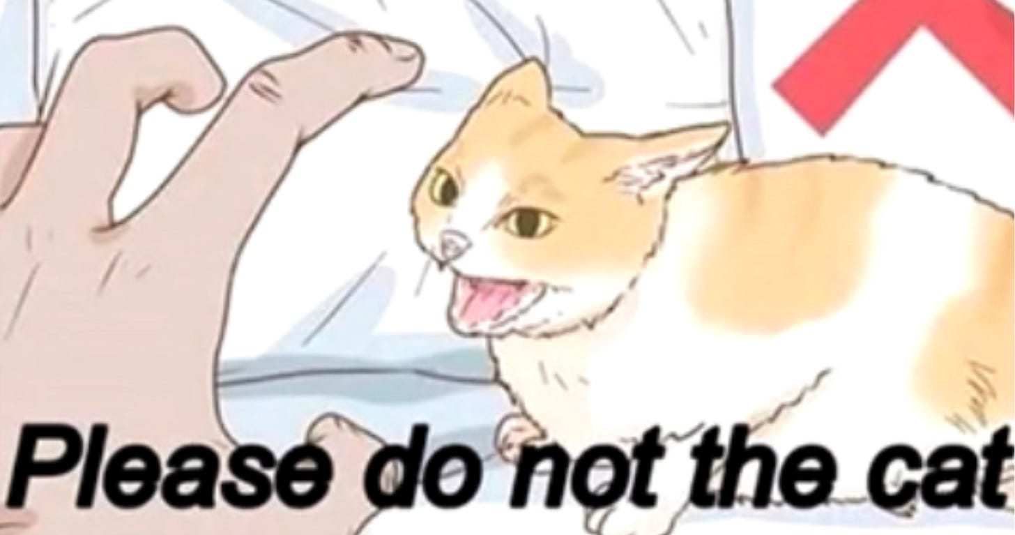 Please Do Not The Cat | Know Your Meme