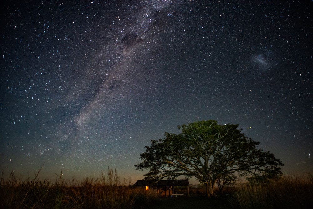 A starlit sky above a small hut and a tree looming over it at sunset