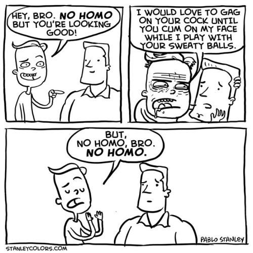 Adam&#39;s review of No Homo