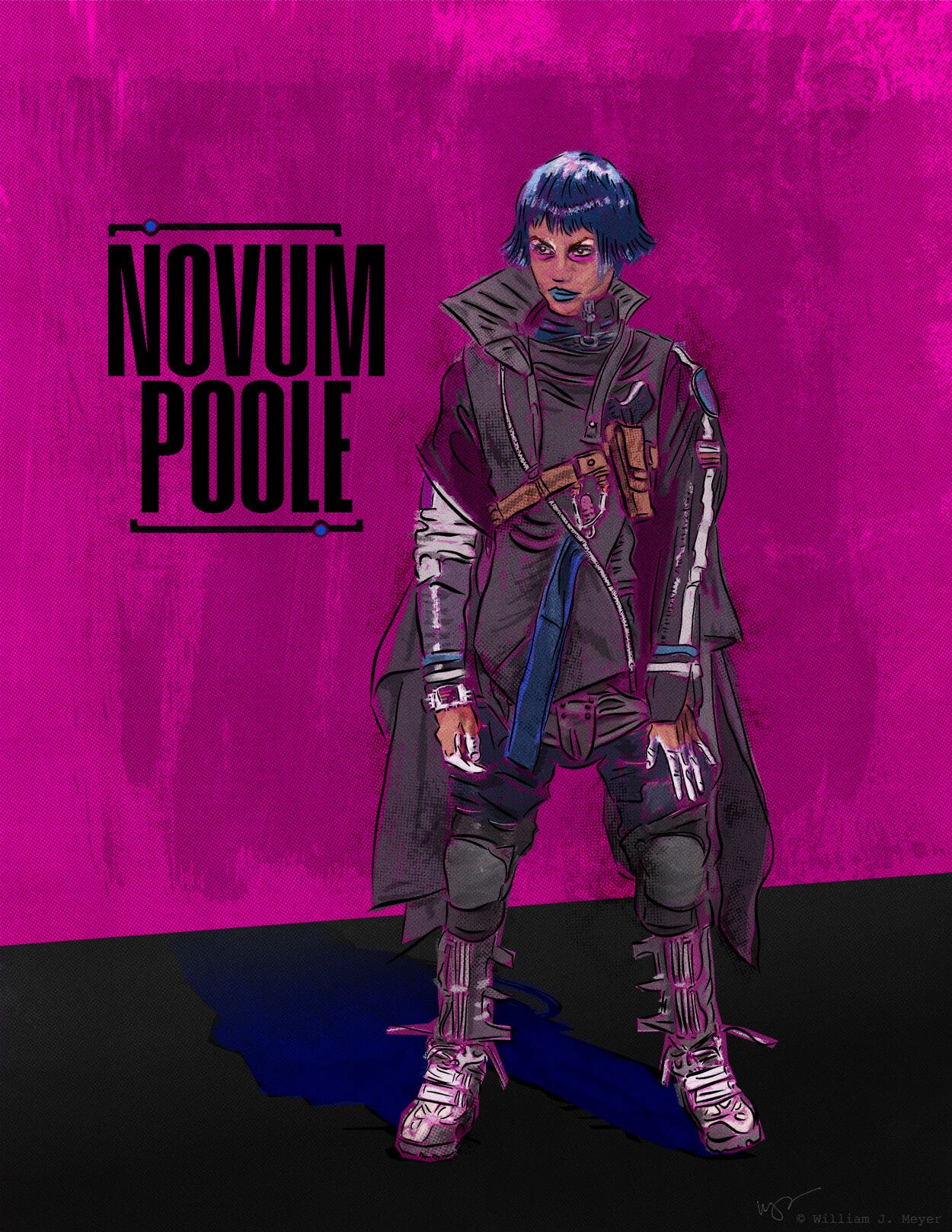 Novum Poole design by William J. Meyer