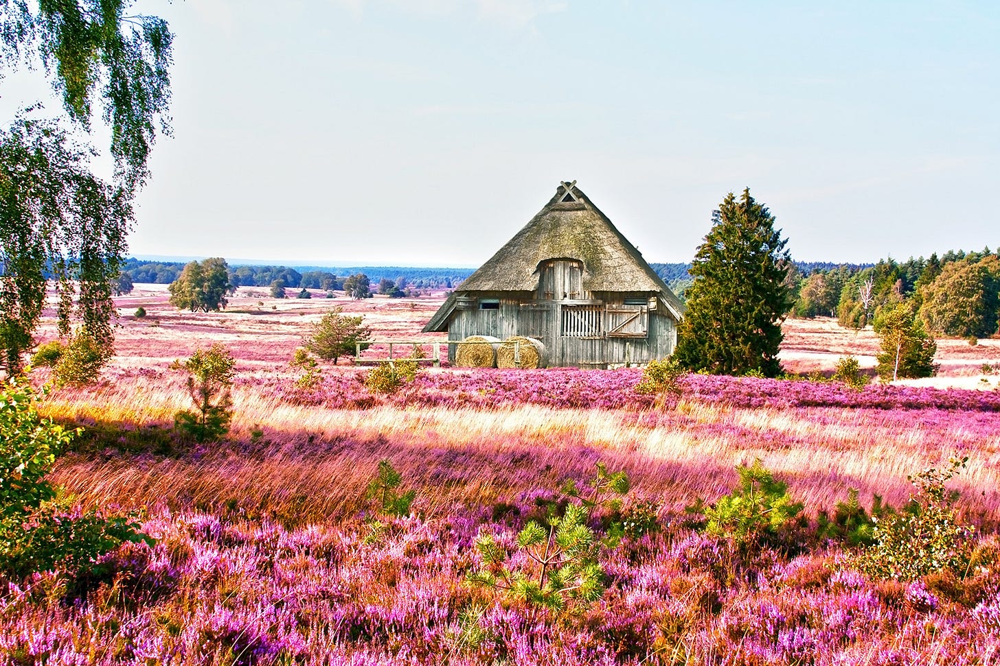 selected.de - Lüneburg Heath: selected.de