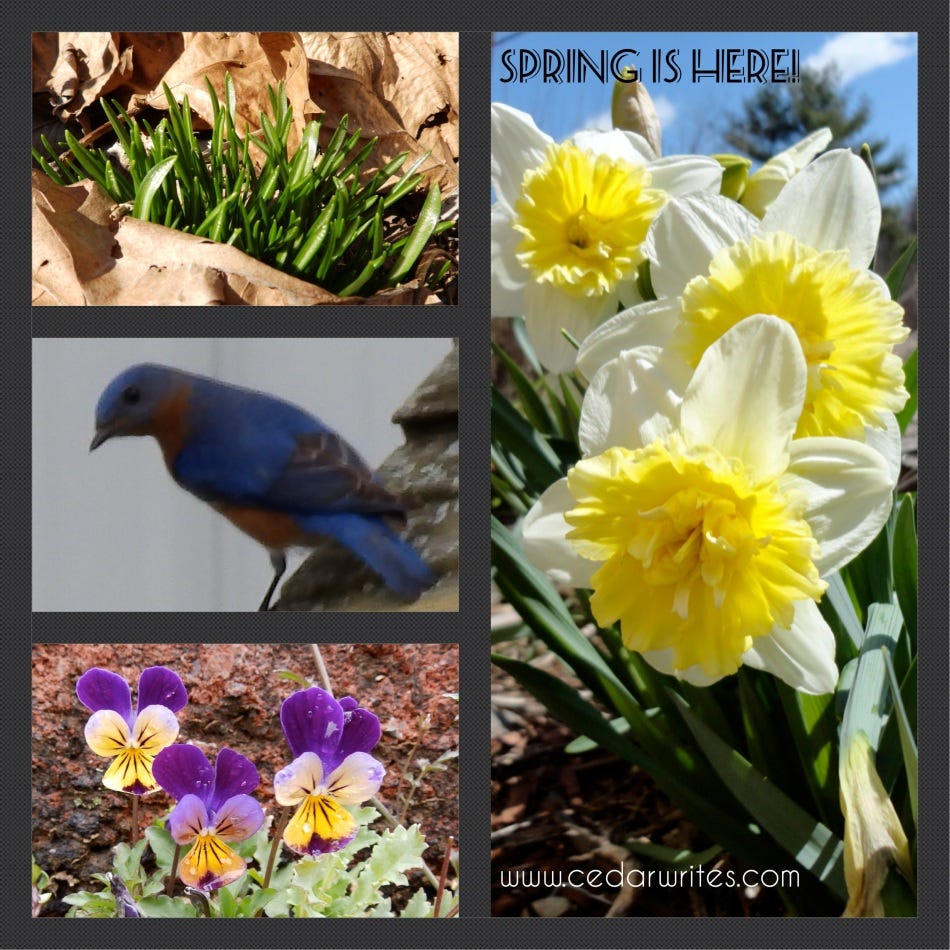 Spring Collage