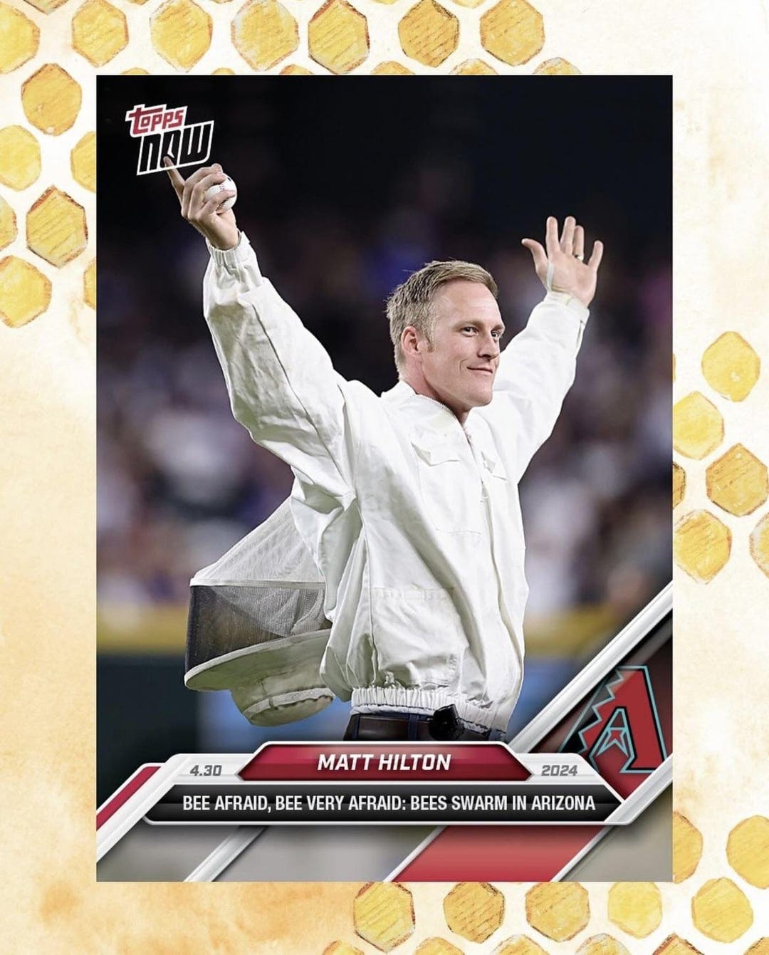 Official Topps card for beekeeper Matt Hilton, that says "Bee afraid! Bee very afraid! Bees swarm in Arizona." It shows a white man in his beekeeper outfit holding up a baseball, with a honeycomb border around it.