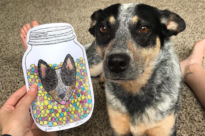 Scout the blue heeler sitting on the floor between my legs as I hold up a drawing I made of her face in a marble jar