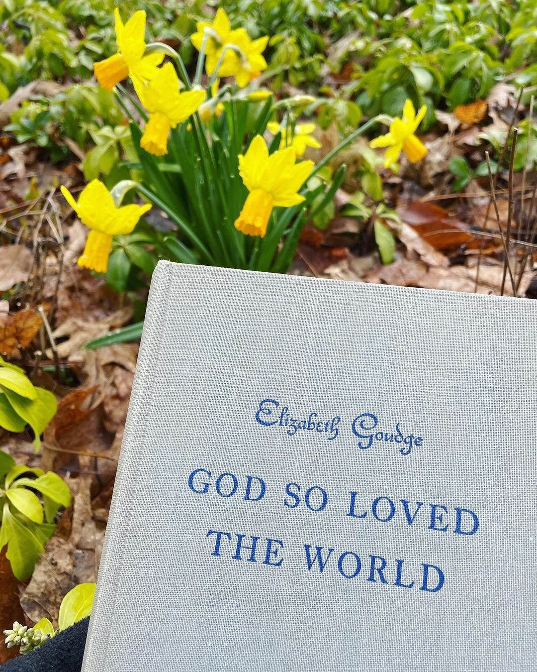 My copy of God So Loved the World by Elizabeth Goudge with our daffodils