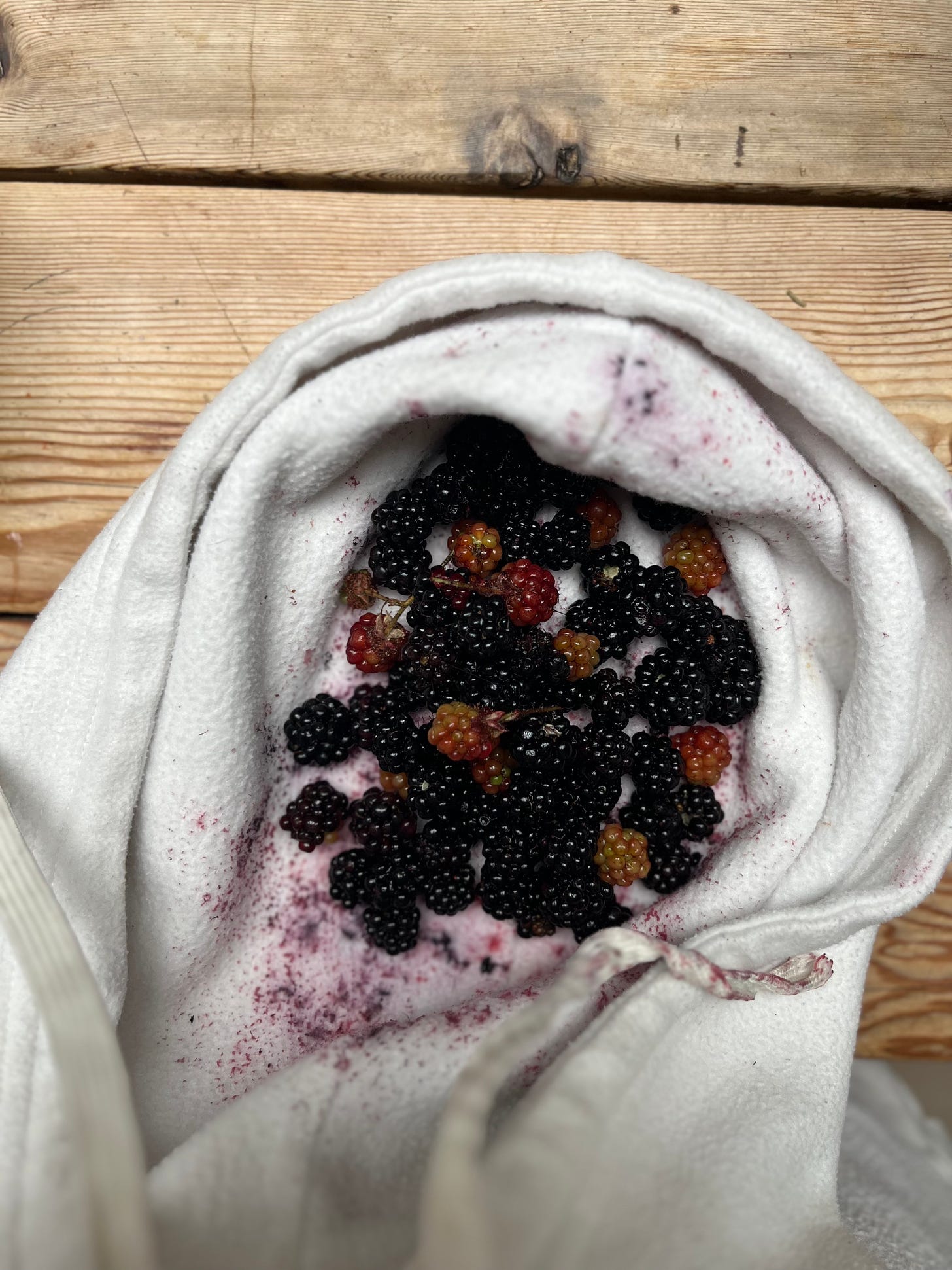 A close-up of a section of Amber's white sweatshirt on a table. The hood part of the hoodie is filled with fresh berries, staining the material.