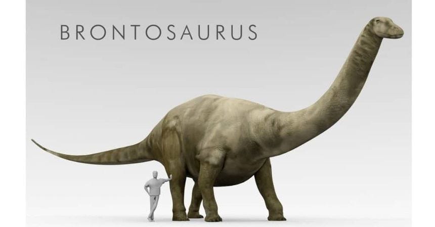 apatosaurus vs brontosaurus