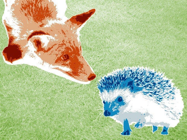 Decide if you're a hedgehog or a fox | CIO