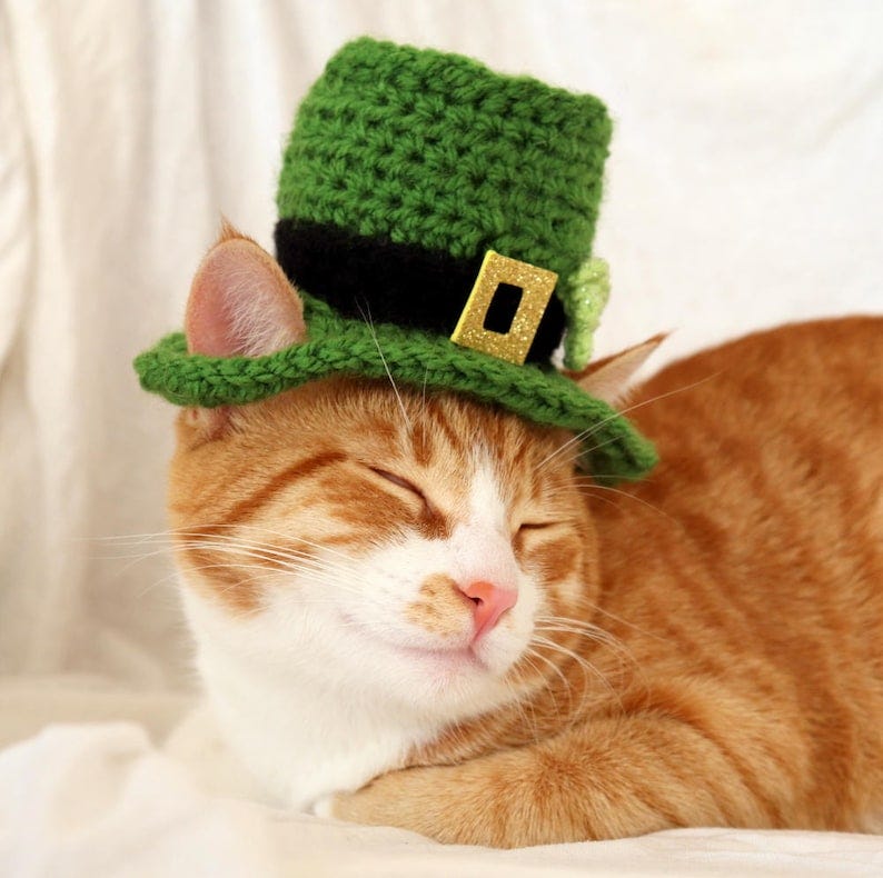 Leprechaun Cat Hat St. Patrick's Day Hat for Cats St - Etsy