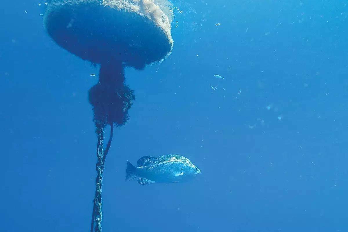 It's the Little Details that Count When You're Fishing Offshore