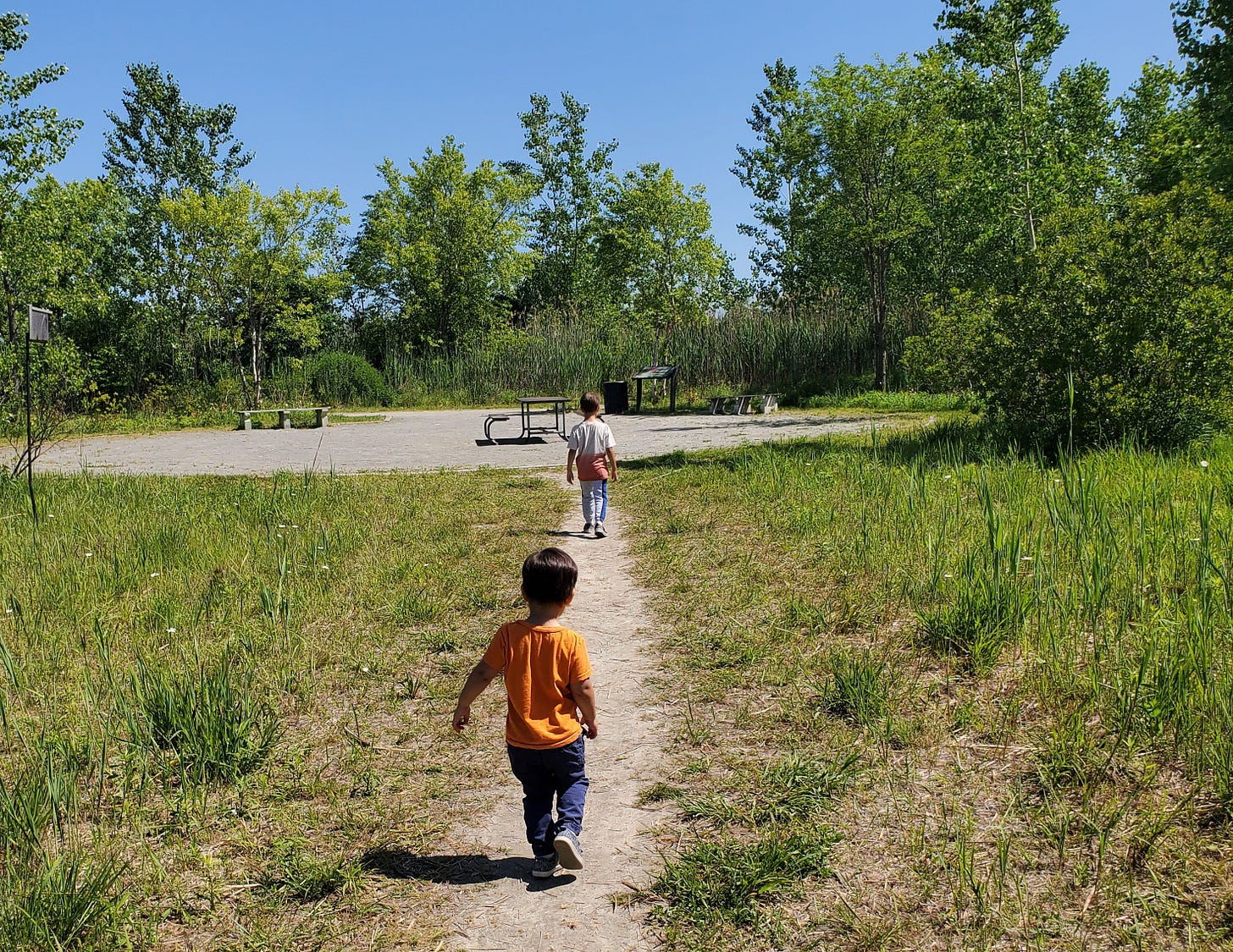 Photo of two little boys walking along a trail in Lincoln Park.