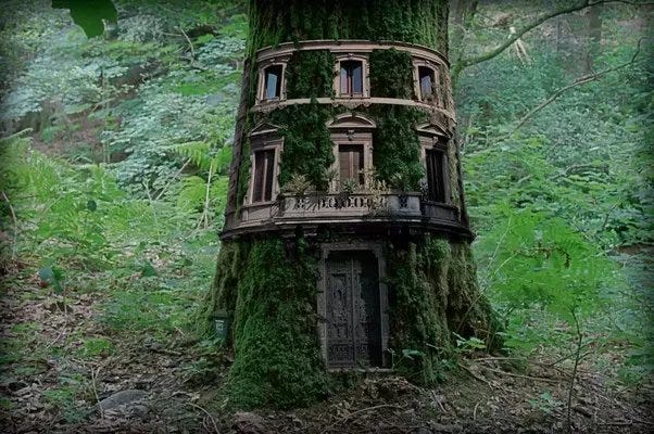 Is it possible to build a Treehouse inside a tree? - Quora