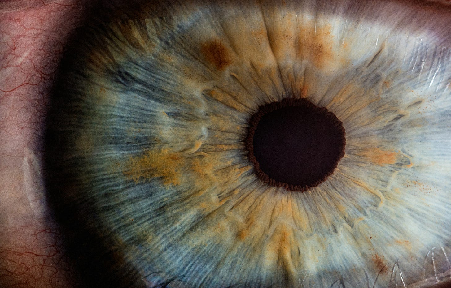 close up of an eye